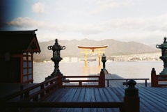 銀塩写真