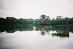 銀塩写真