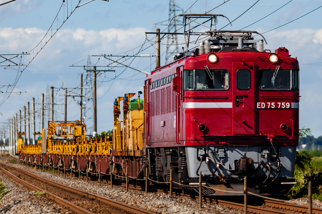 ED75