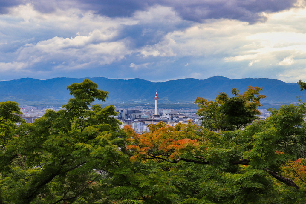 京塔