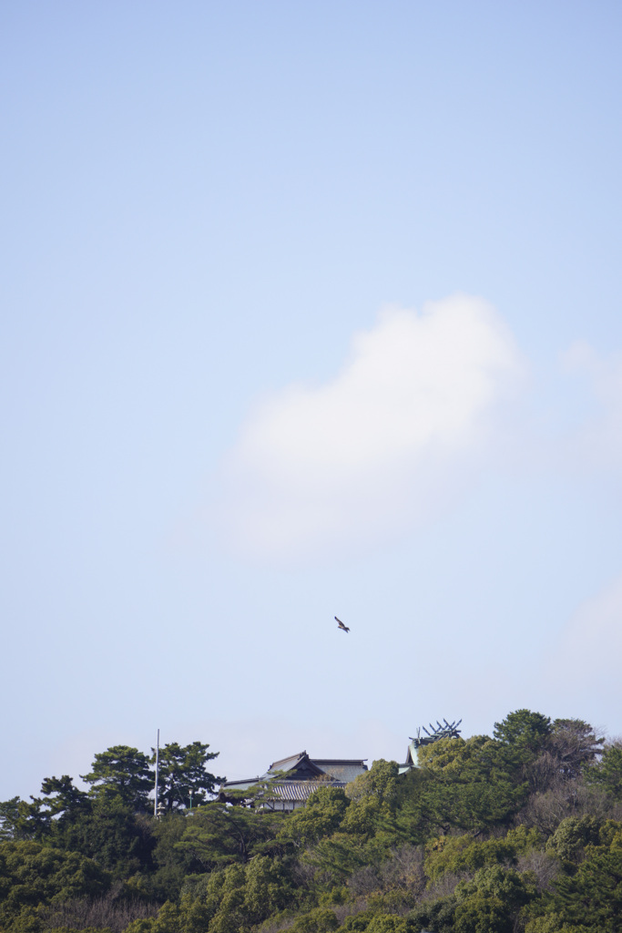 玄関先から見た風景