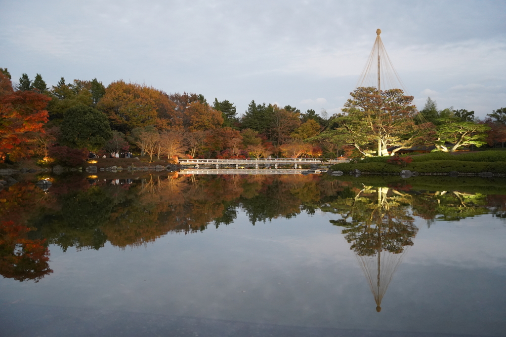 昭和記念公園 日本庭園