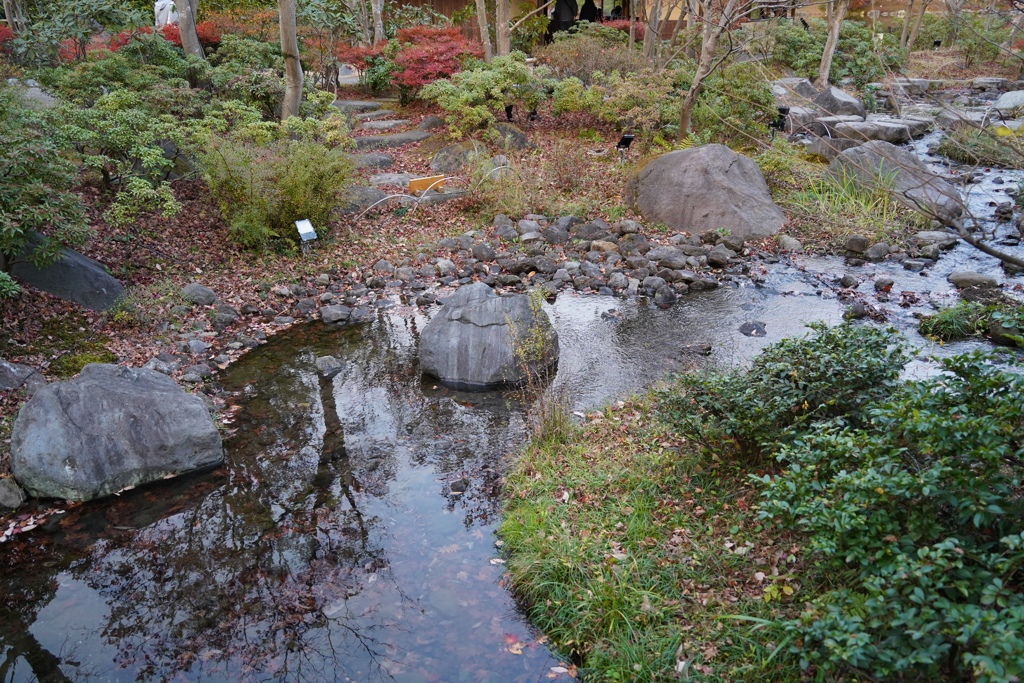 昭和記念公園 日本庭園
