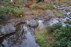 昭和記念公園 日本庭園
