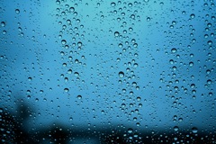 雨