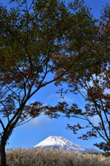 向こうに富士山