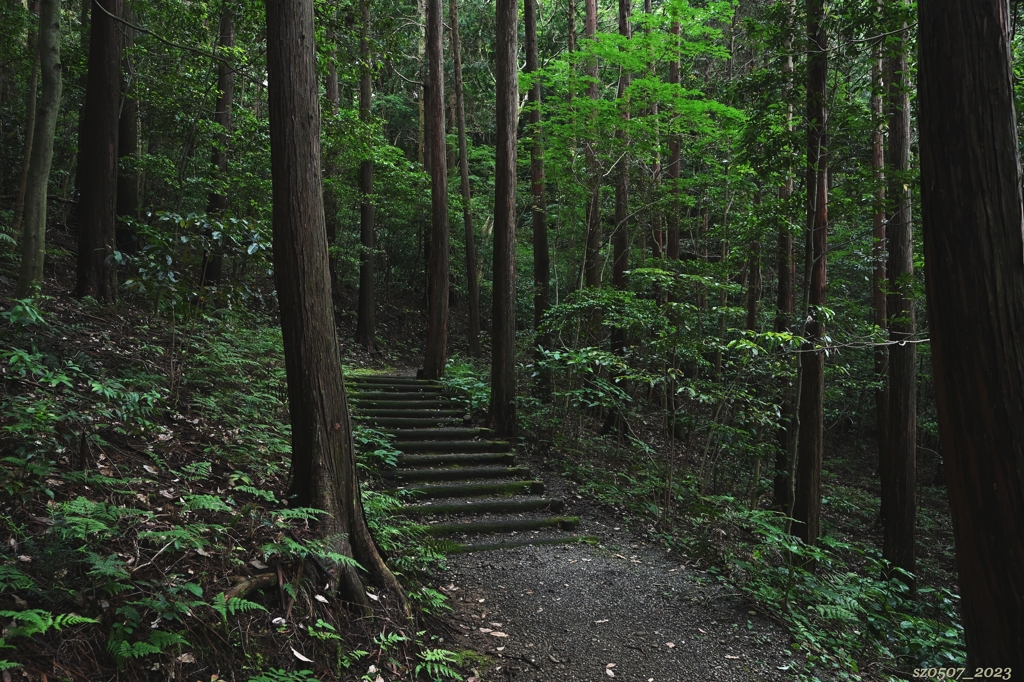 散歩道