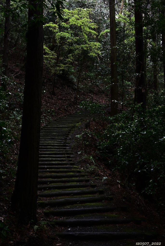 遊歩道