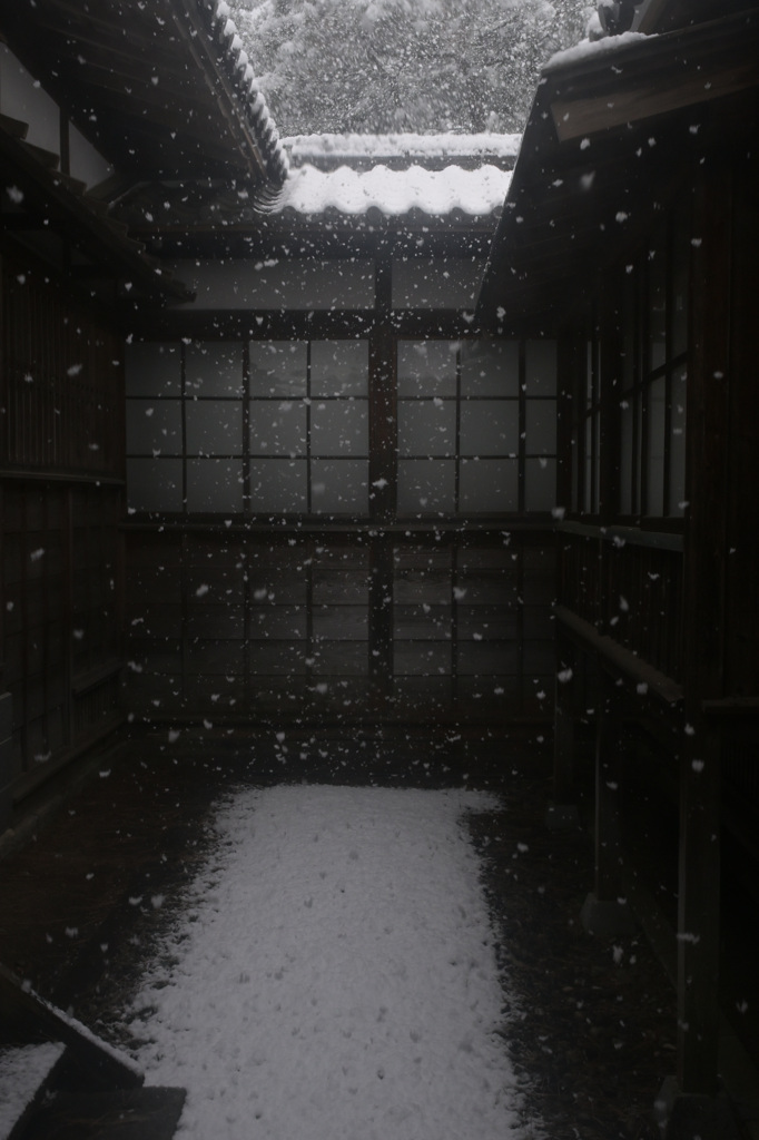 2026.2_白くなっていく