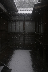 2026.2_白くなっていく