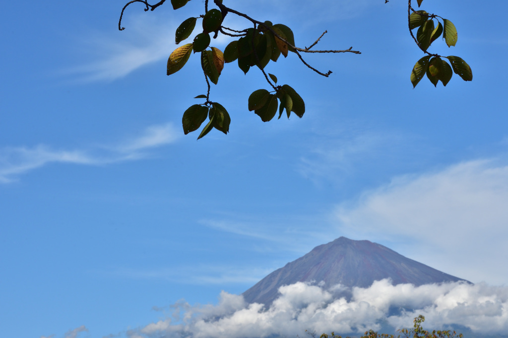 初秋、富士山