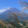 富士とススキと秋晴れの空