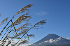 ススキと富士山