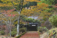小さな神社と秋の色