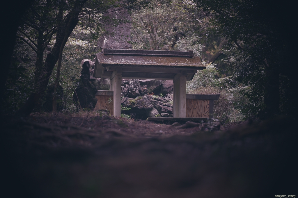 林の先に