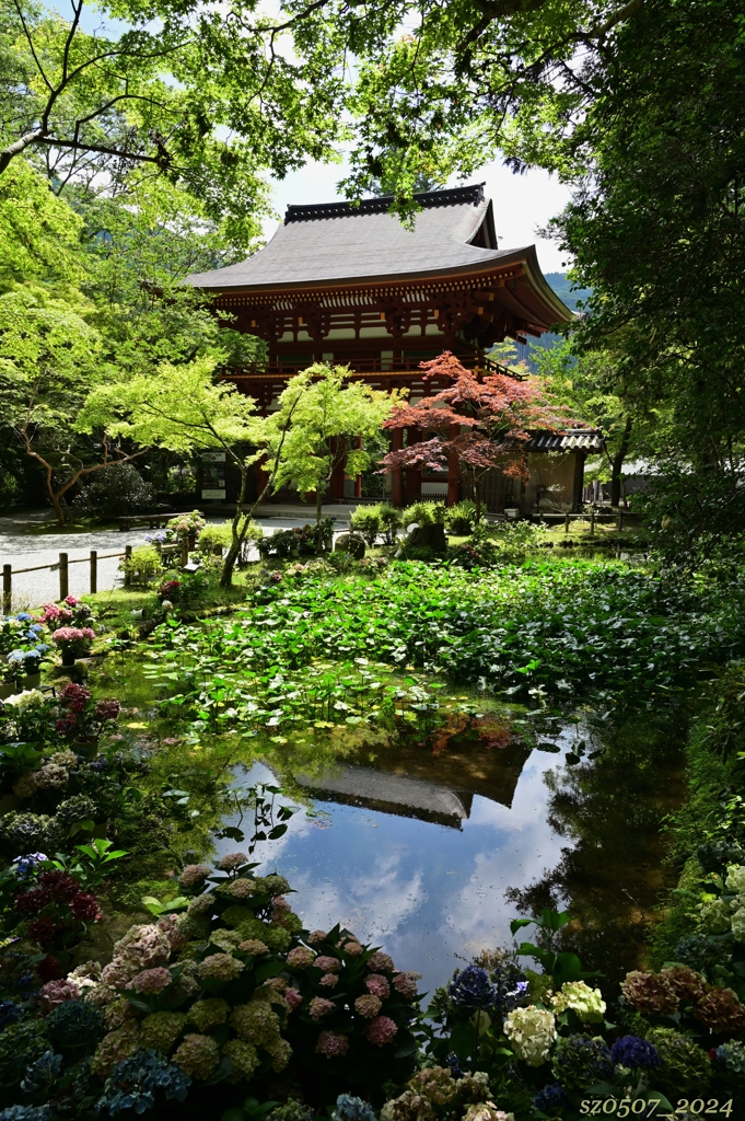 文月の室生寺-1/2-