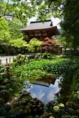 文月の室生寺-1/2-