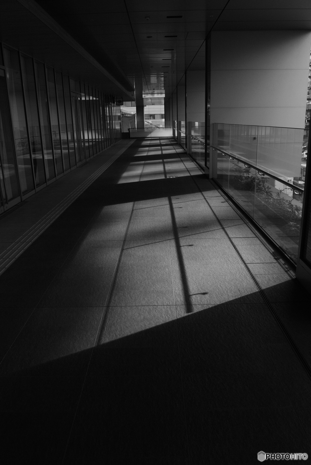 交錯するカゲ
