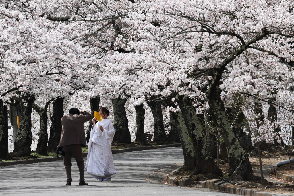 松本市 城山公園にて a