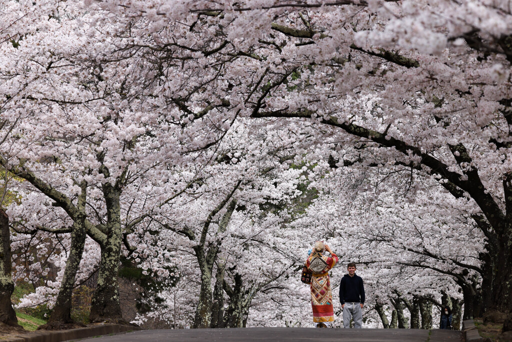 松本市城山公園にて