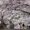 松本市城山公園にて