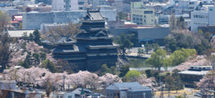 松本城　城山公園展望台より