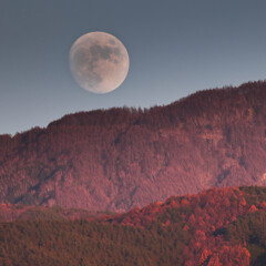 紅葉の山より昇る月