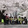 松本市城山公園にて