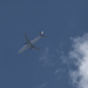 松本市上空のFDA機
