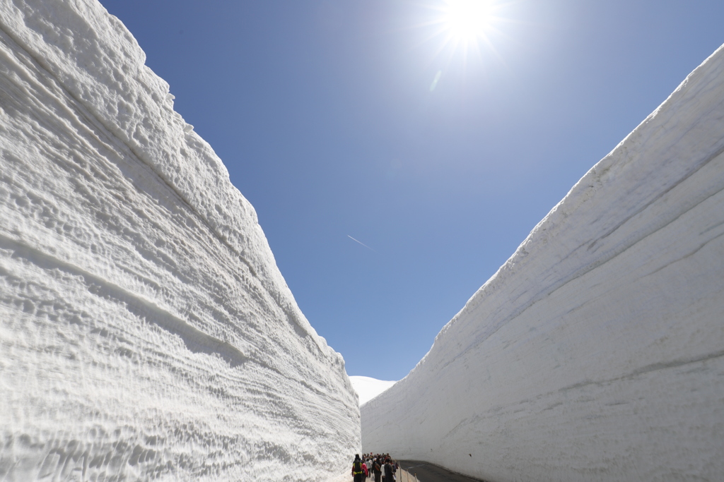 立山 雪の大谷