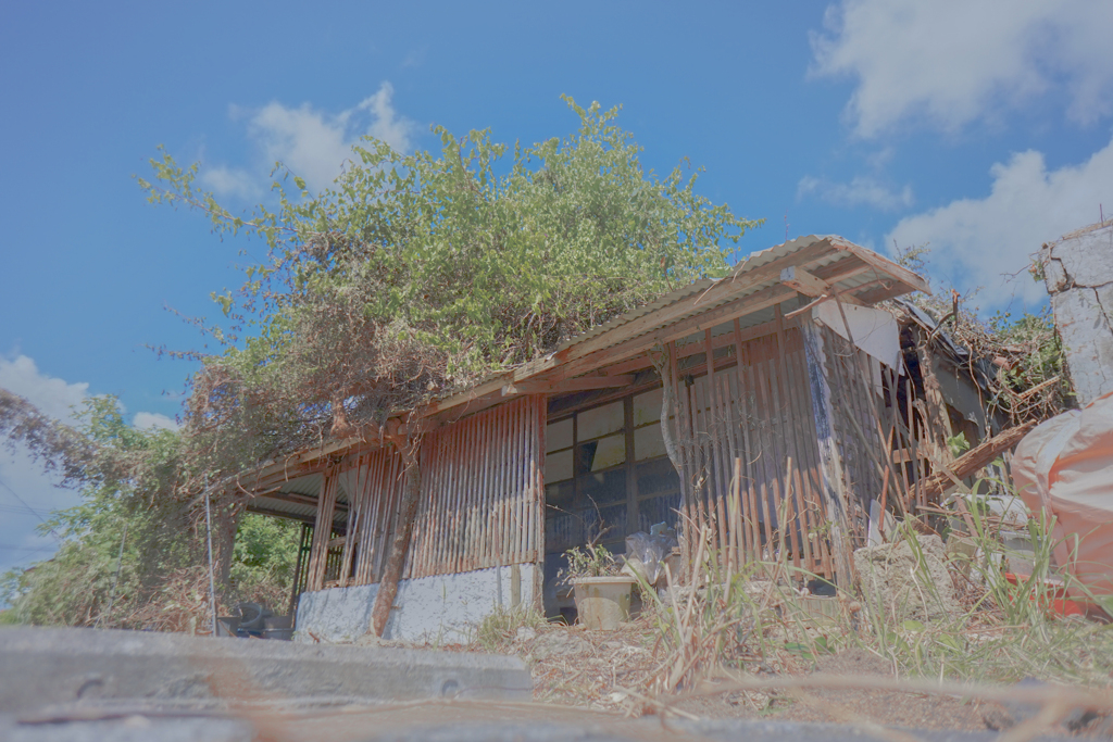 金城町石畳道