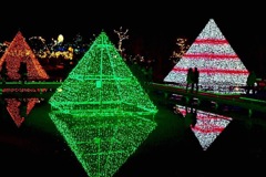 D480C557-CEAB-414F-8951-20220084F85C