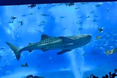 FB92F253-4893-4F8C-A3C4-4908D59E385C