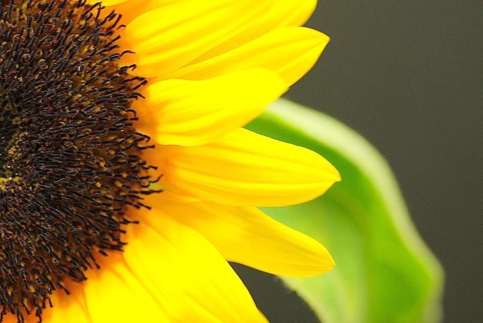 6429DCD6-72E3-4136-8584-CCC0359A567E