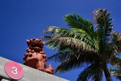 E2AD9479-10C5-4305-9E54-7A57884ED921