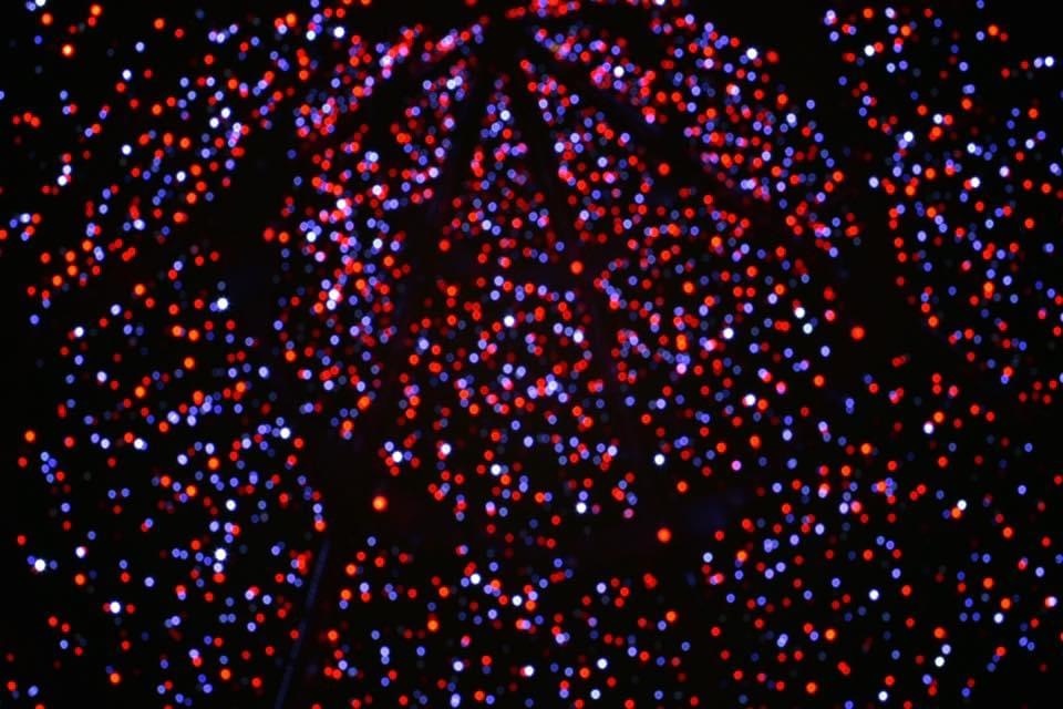 C81C4DA6-0EF8-4114-8CE1-7F70D30D0A24