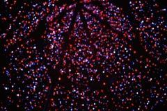 C81C4DA6-0EF8-4114-8CE1-7F70D30D0A24