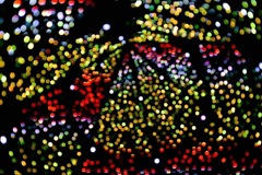 7BBA9B0C-4280-4464-84E9-5C1798923E7F