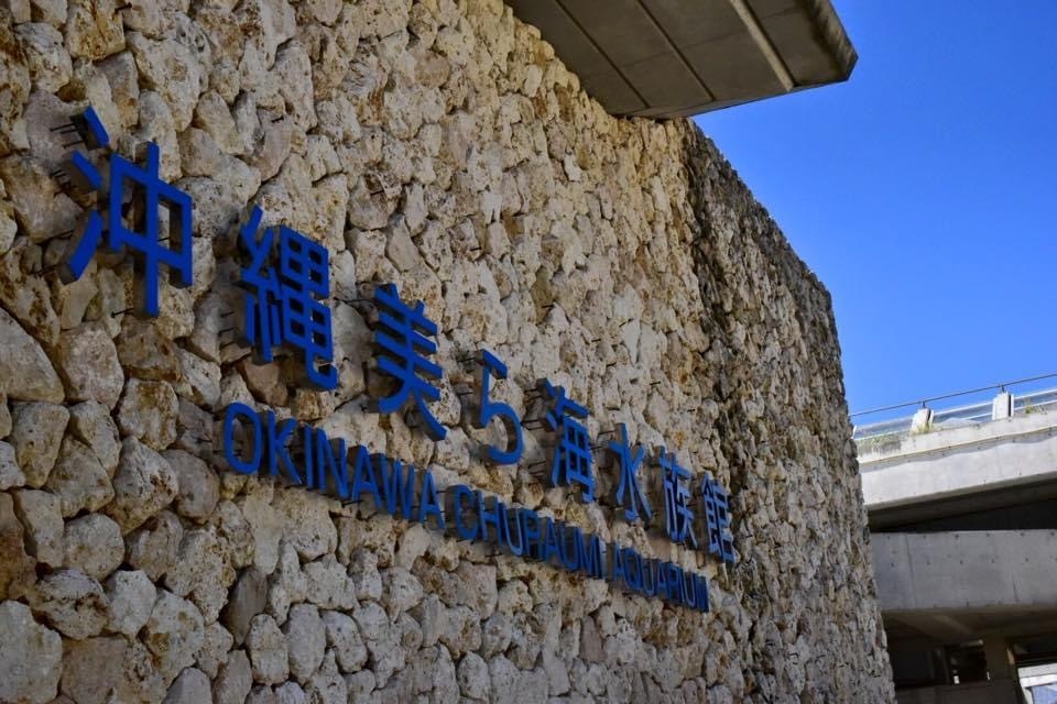 430A00BE-F5F6-42D6-97B6-5F1E6CED161C