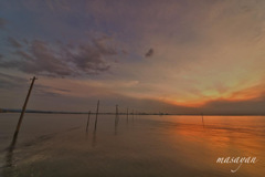 31DFB997-59BF-49D9-8AF3-A9117102A963