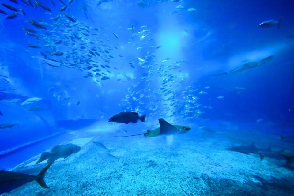 8E39B246-8B69-44CD-B9EE-819E69336BA3