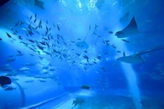 B6A64692-6864-4103-BA5A-A5EB017BB900