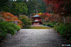 階段を登ると