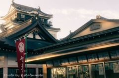 岡崎城 天守閣