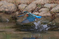 sat00034355 sat00034355