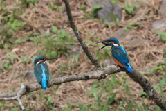 sat00034332 sat00034332