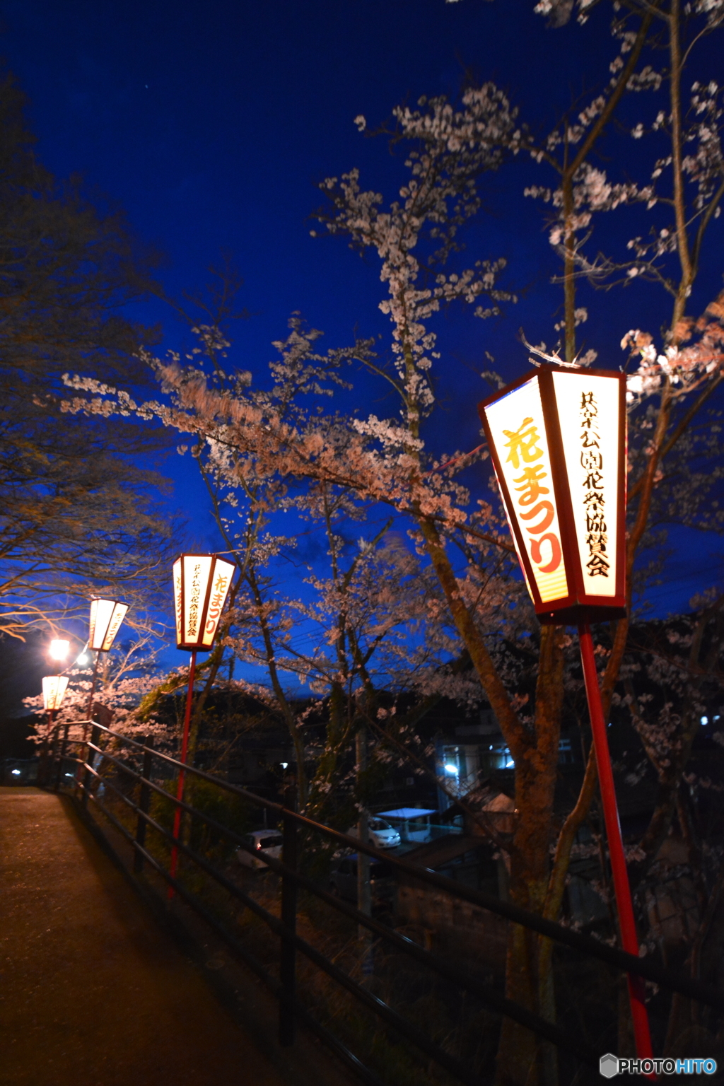 共楽公園 花まつりにて (1)