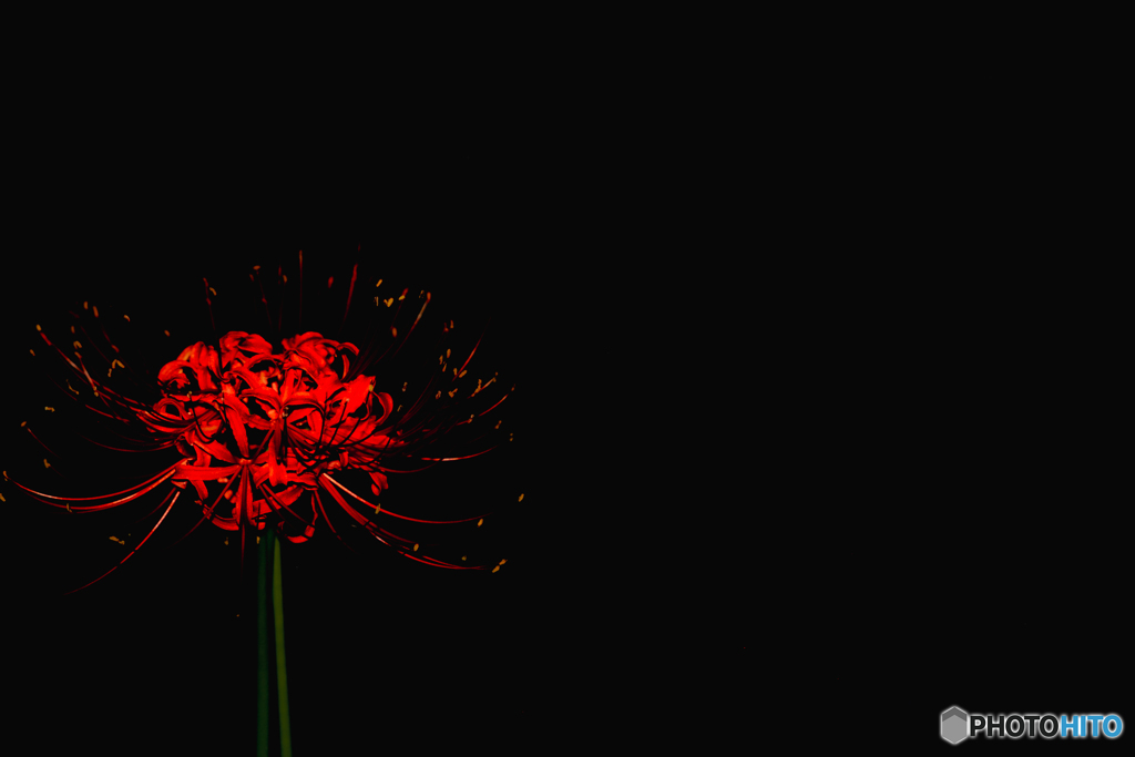 _DSF6062-8