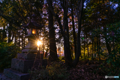 DSC04379-43