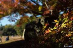 DSC03016-20